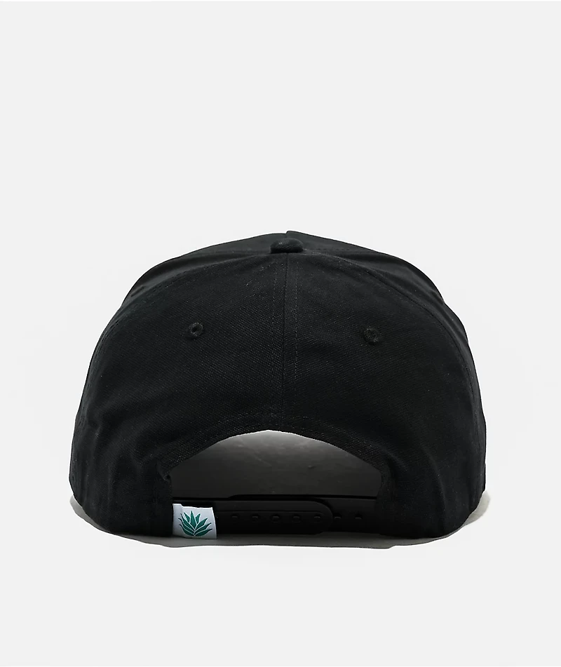 Sendero Never Was A Horse Black Canvas Snapback Hat