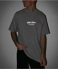 Shaka Wear Max Heavy 3M Logo Grey T-Shirt
