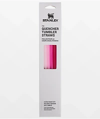 Stanley Adventure Quencher Pink 4 Pack 30oz Tumbler Straws