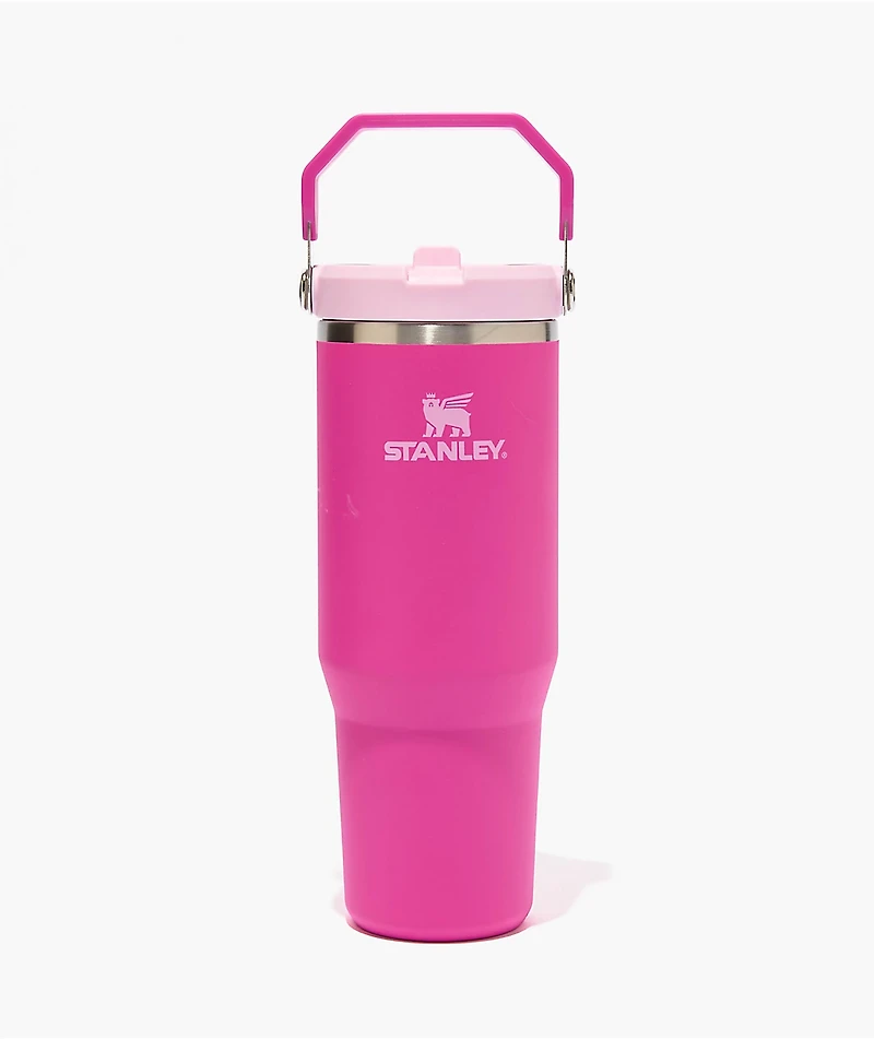 Stanley IceFlow Flip Straw Bright Violet Tumbler 30 oz