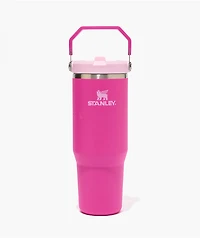 Stanley IceFlow Flip Straw Bright Violet Tumbler 30 oz
