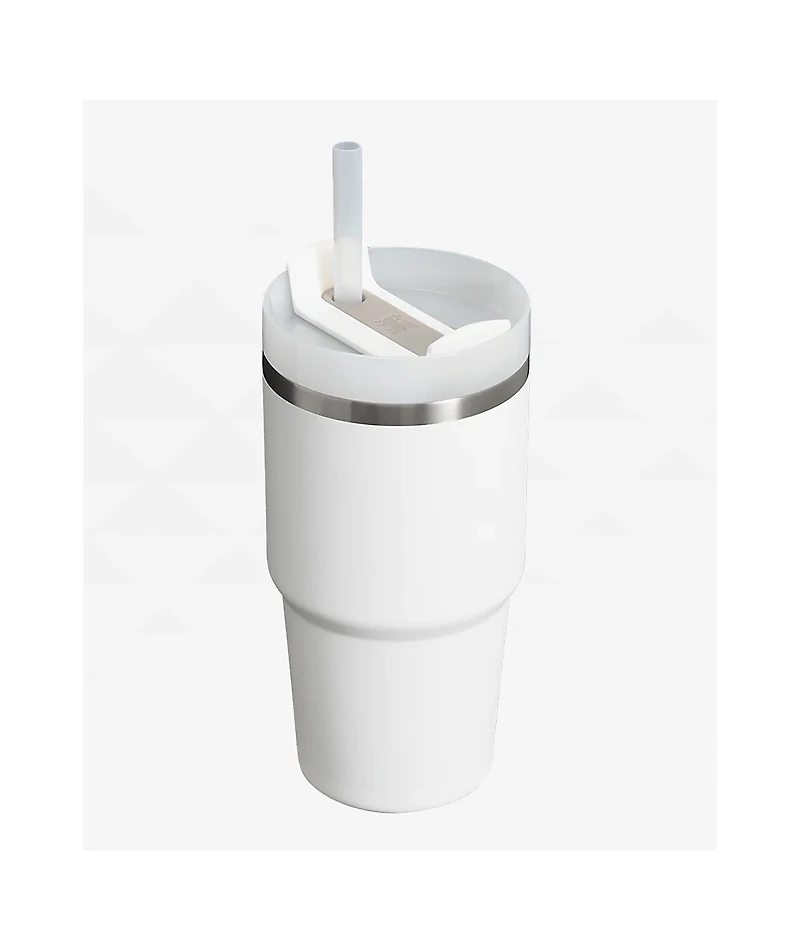 Stanley The Quencher H2.0 FlowState Frost Tumbler 20oz