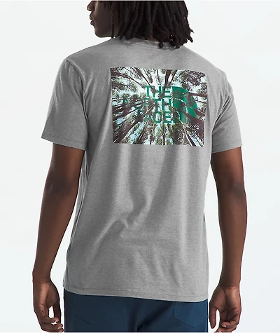 The North Face Crown Shyness Grey T-Shirt