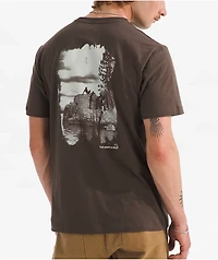 The North Face Evolution Nature EXP Brown T-Shirt