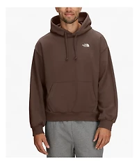 The North Face Evolution Simple Dome Brown Hoodie