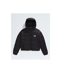 The North Face Hydrenalite™ Down Black Puffer Hoodie