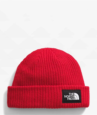 The North Face Salty Red Lined Beanie