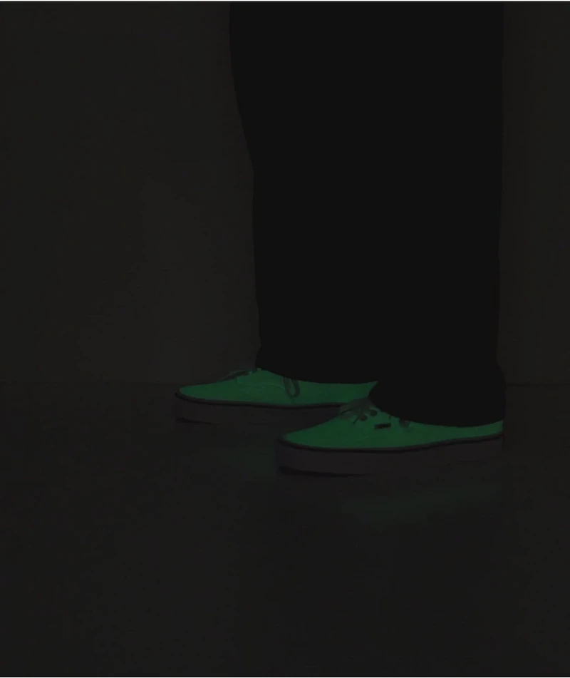Vans Authentic Glow Theory Skate Shoes