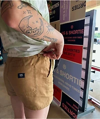 Vans Ground Brown Work Shorts