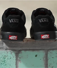 Vans Skate Wayvee Black & Shoes