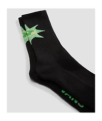 Vans Stowers Black Crew Socks