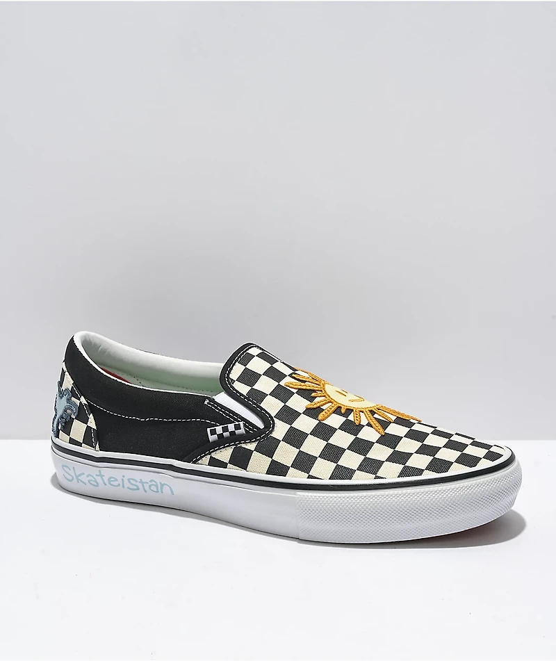 Vans x Skateistan Skate Slip-On Checkerboard Shoes