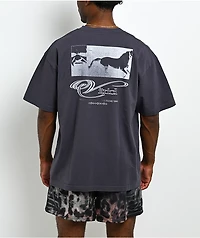 Vitriol Anomalous Action Grey T-Shirt