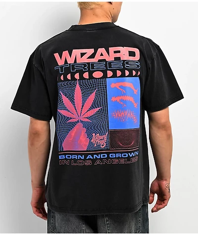 Wizard Trees Born And Grown Black Wash T-Shirt