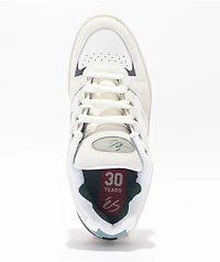 eS Accel Fit White & Teal Skate Shoes