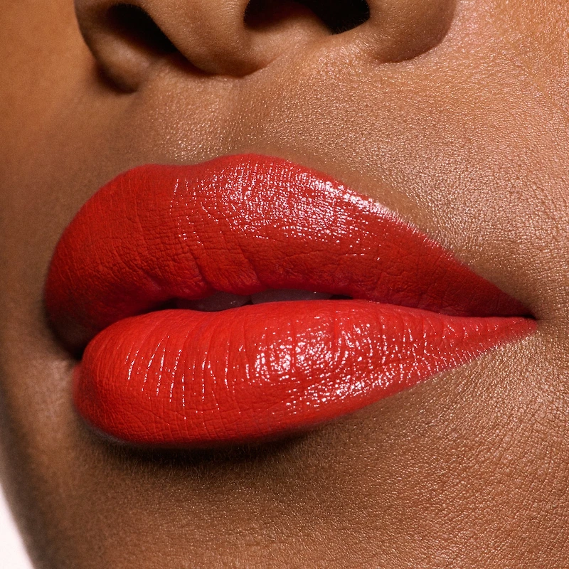 M·A·Cximal Satin Lipstick / M·A·C Holiday
