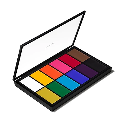 Pro Palette Paintstick x 12