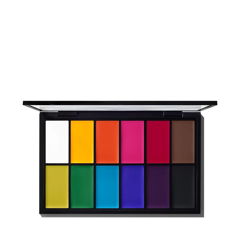 Pro Palette Paintstick x 12