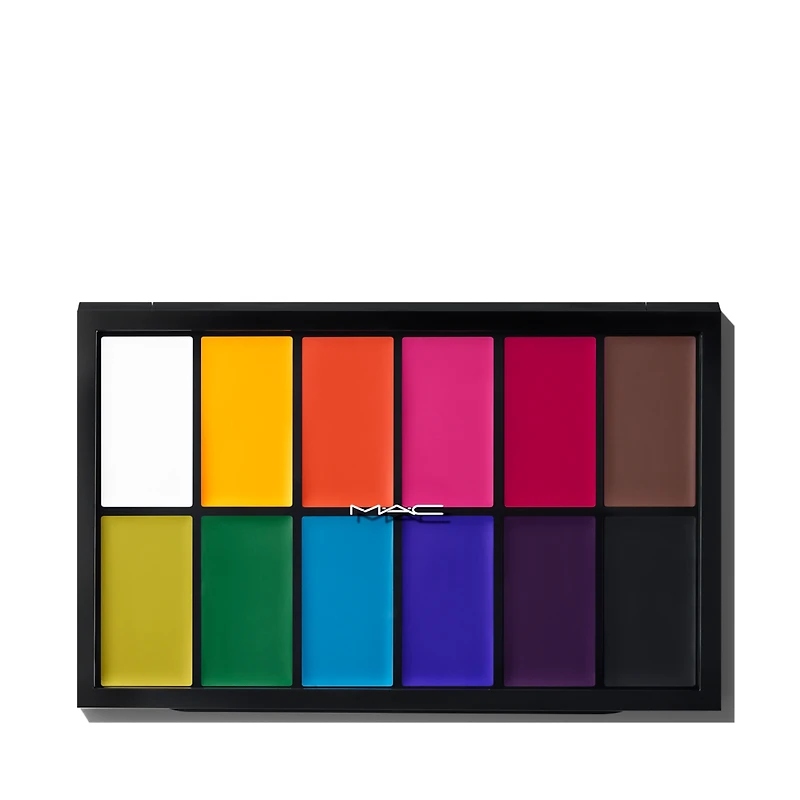 Pro Palette Paintstick x 12