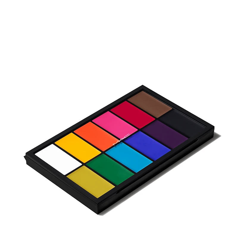 Pro Palette Paintstick x 12