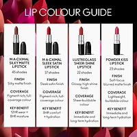 M·A·CXIMAL SILKY MATTE LIPSTICK