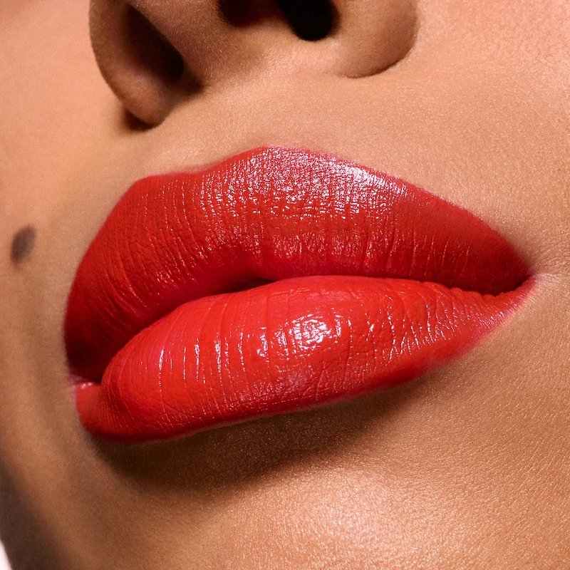 M·A·Cximal Satin Lipstick / M·A·C Holiday