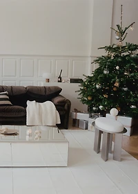 Tree decorations with snowflake detail