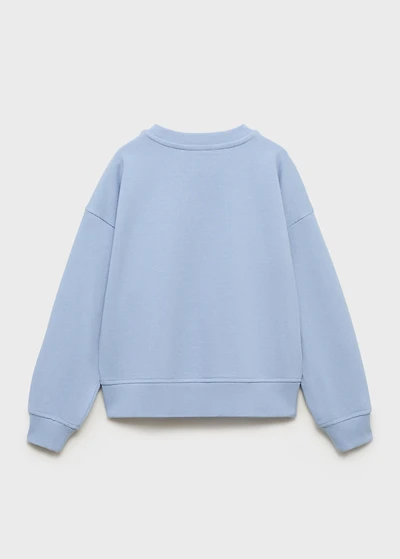 Printed embroidered sweatshirt