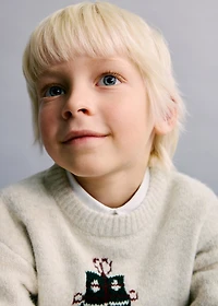 Christmas embroidered sweater