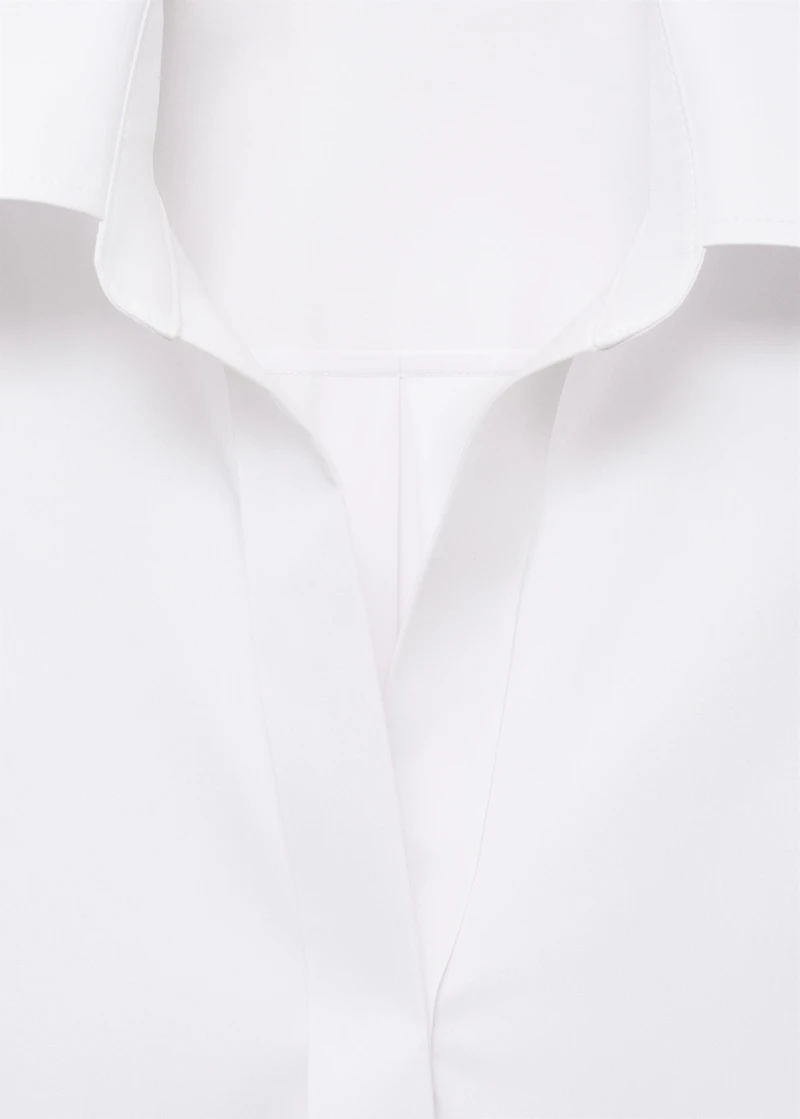 Shirt with concealed placket and collar