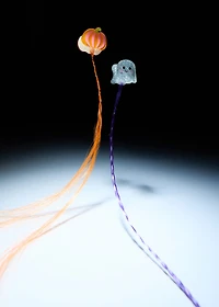 Pack of Halloween hairpins