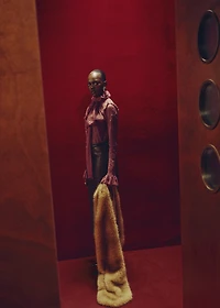 Lace blouse with ruff collar