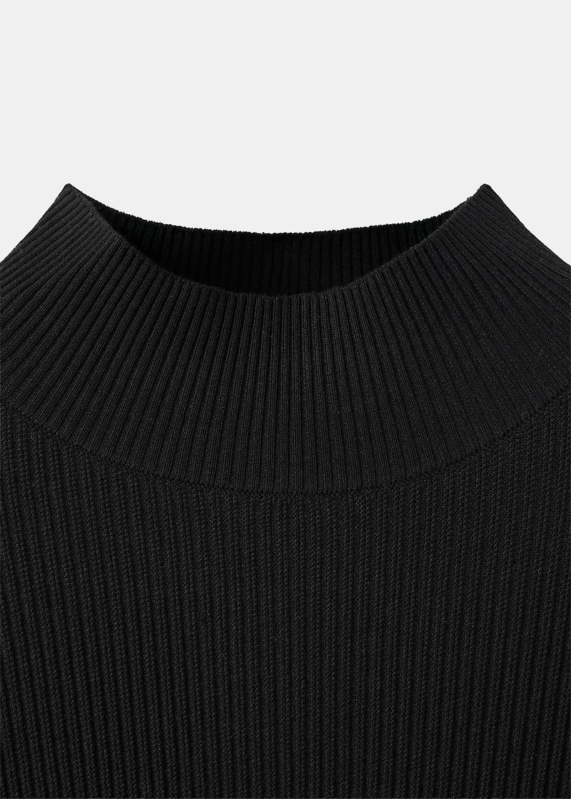Ribbed turtleneck sweater