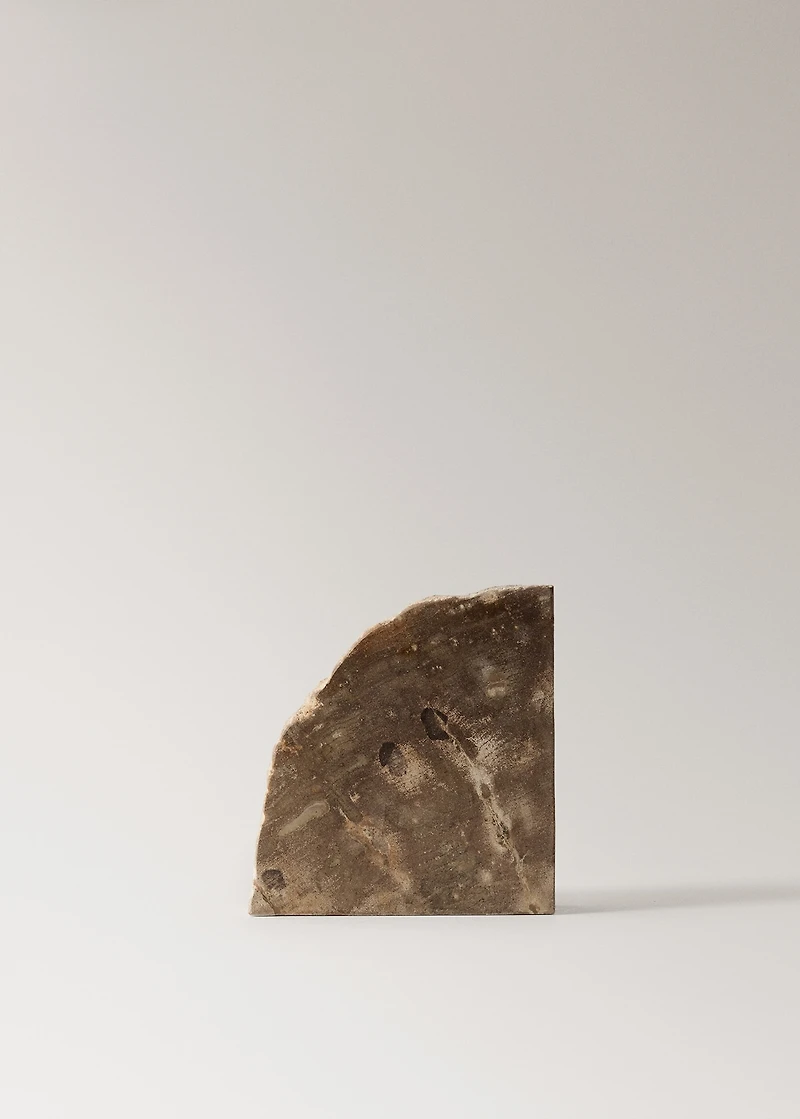 Petrified wood bookends