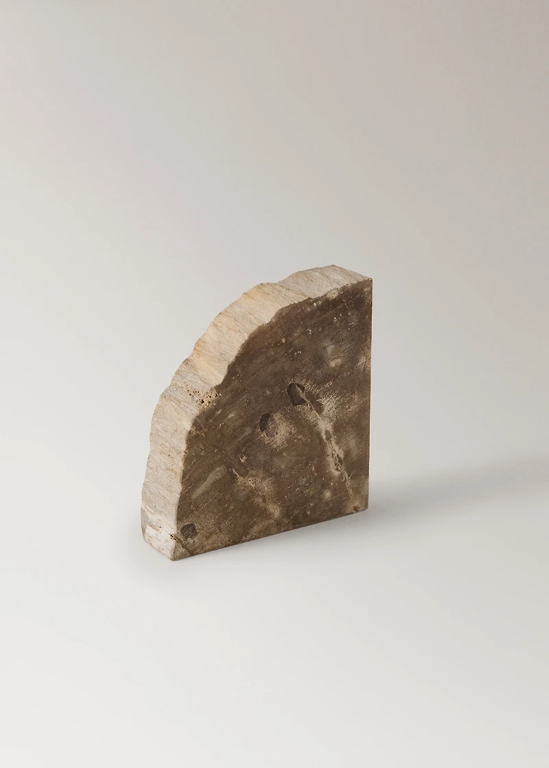 Petrified wood bookends