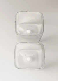 Transparent borosilicate salt and pepper shaker set