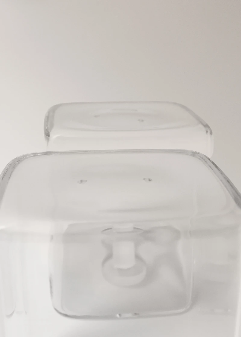 Transparent borosilicate salt and pepper shaker set