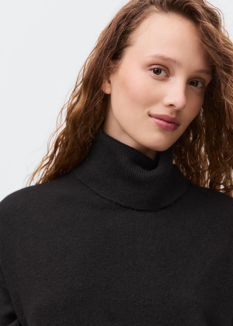 Turtle neck knit dress