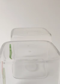 Borosilicate salt and pepper set with crown and tree design