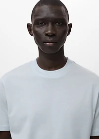 100% cotton T-shirt regular fit