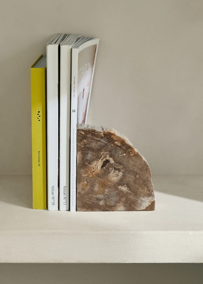 Petrified wood bookends