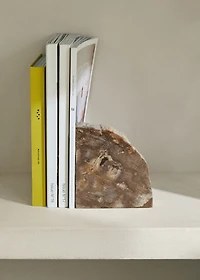 Petrified wood bookends