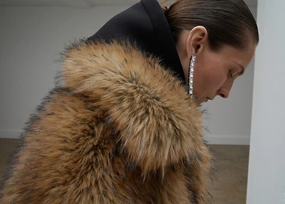 Crystal pendant earrings