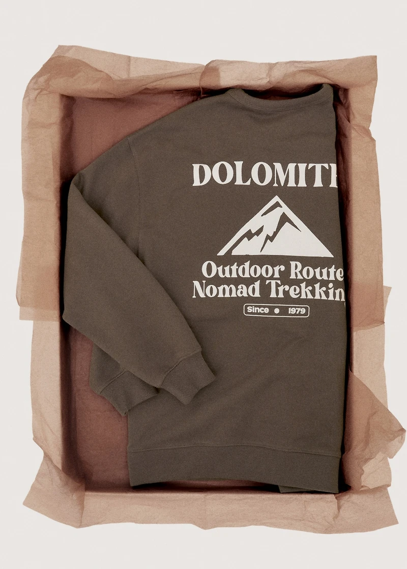 Embroidered cotton sweatshirt