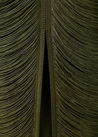 Fringed dress with low back