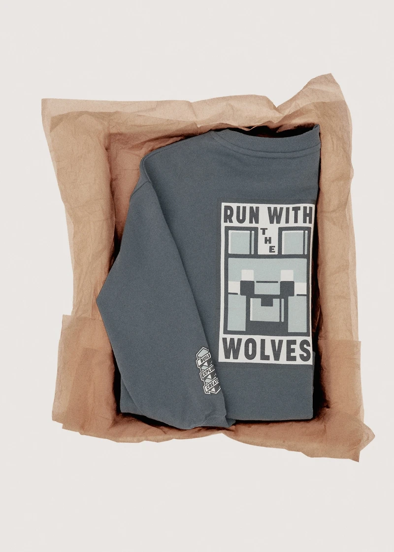 Minecraft sweatshirt