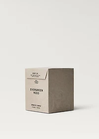 EVERGREEN MOOD aromatic candle g