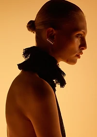 Combined earring set