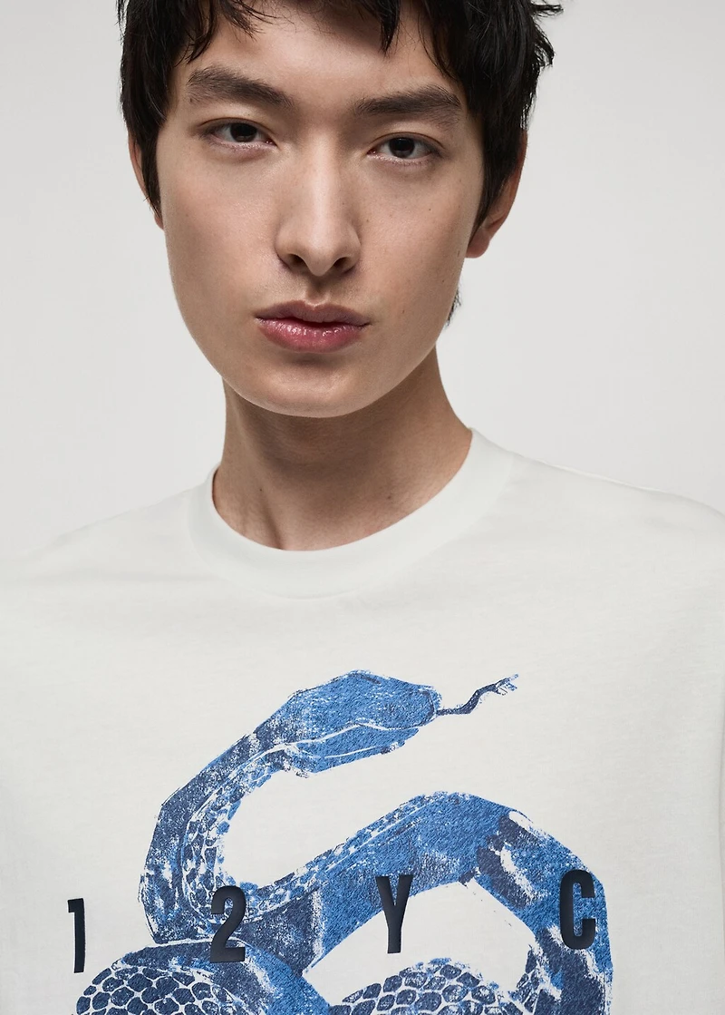 100% cotton t-shirt with graphic print on the front