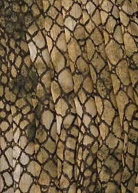 Puffed-sleeve printed shirt